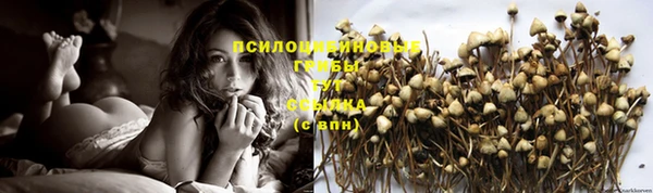 стафф Балабаново