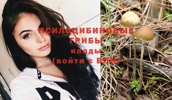 прущая мука Баксан